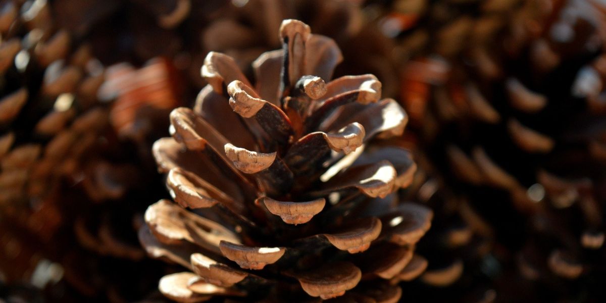 How Political Decisions Impact Everyday Life