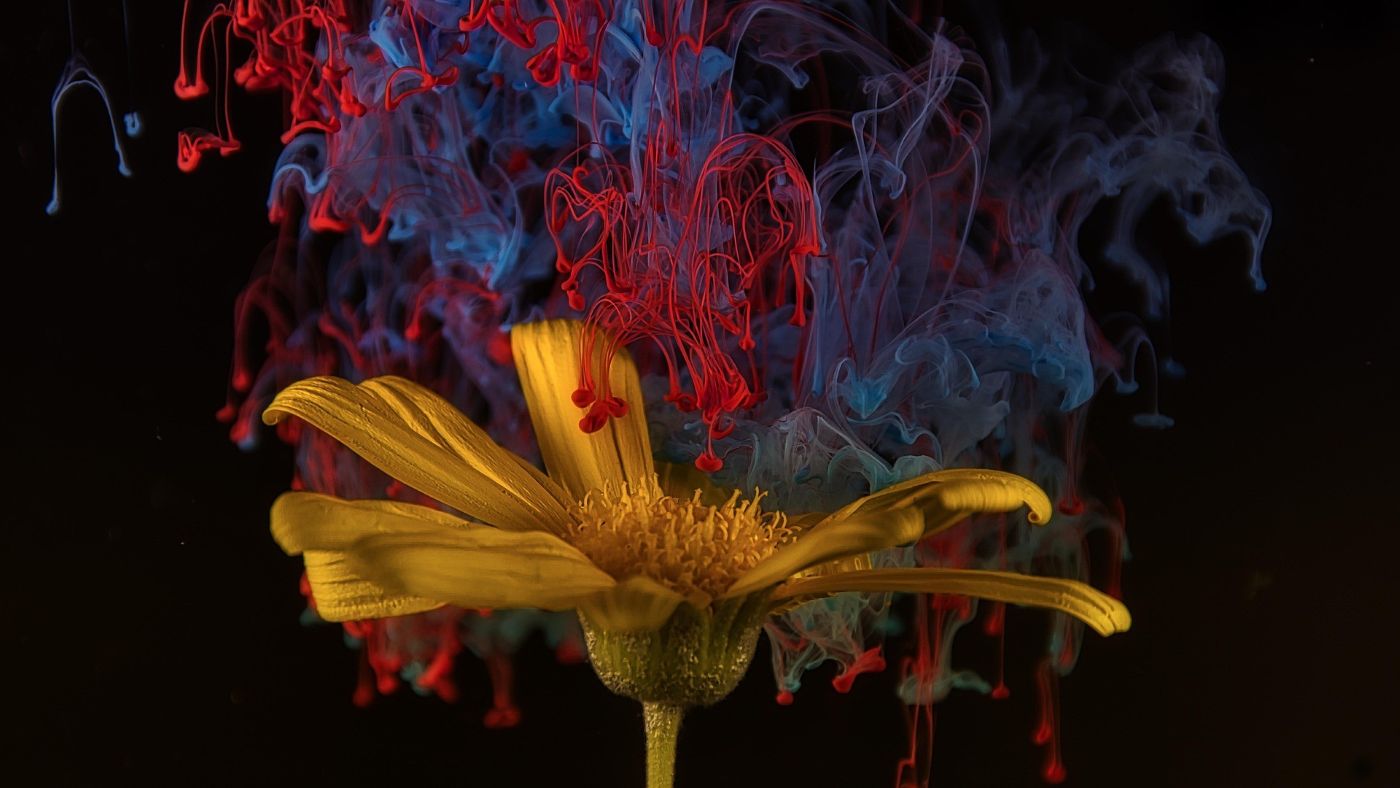 PixelWave Creative Studio